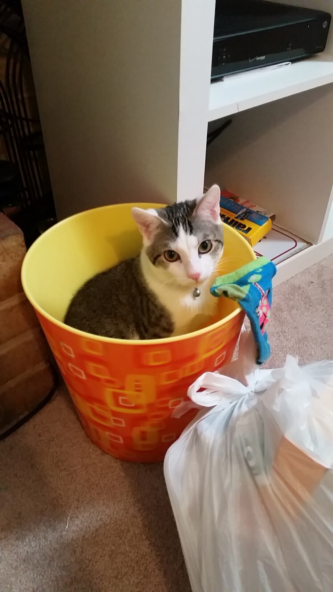 沙滩排球：阳光与沙滩上的较量，沙滩排球的赛制