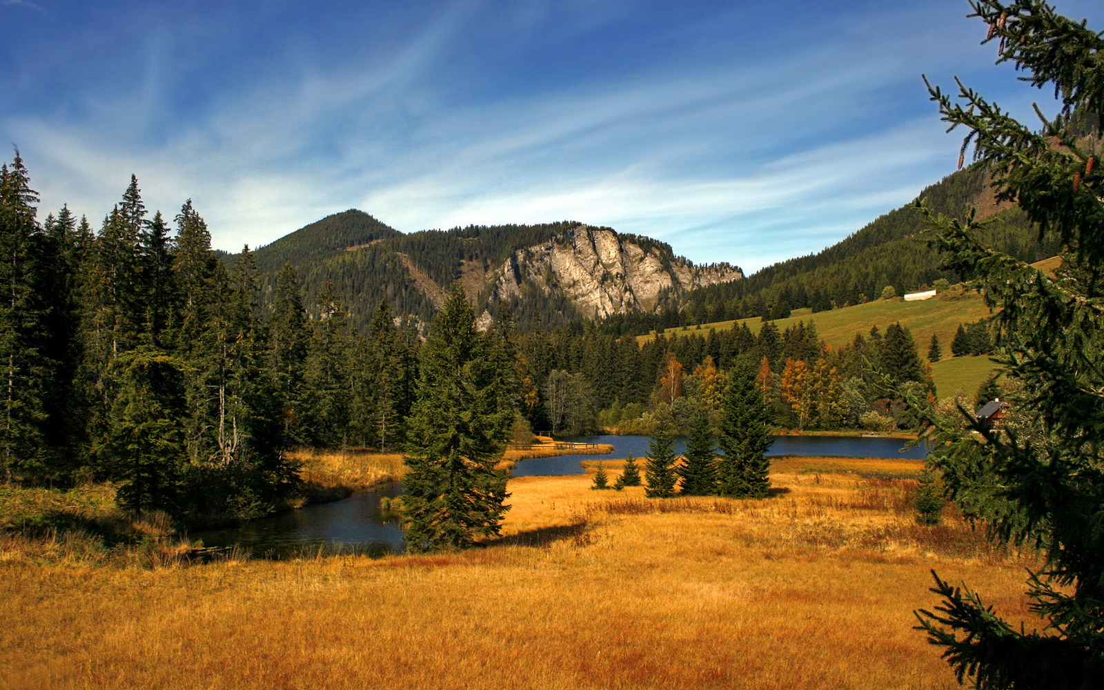 爵士舞运动会：韵律与力量的表演，运动会爵士舞蹈视频