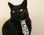 特色野外生存真人秀，竞技、生存与冒险的完美结合，有什么好看的野外生存真人秀