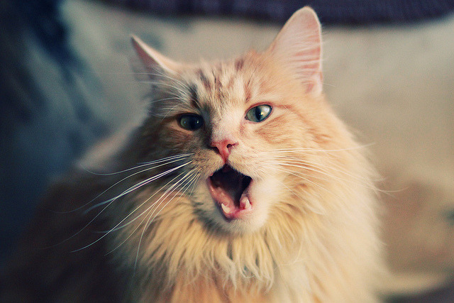 九游娱乐APP-电竞赛事官方合作伙伴不断增多，行业生态日益完善，电竞比赛合作圆满成功