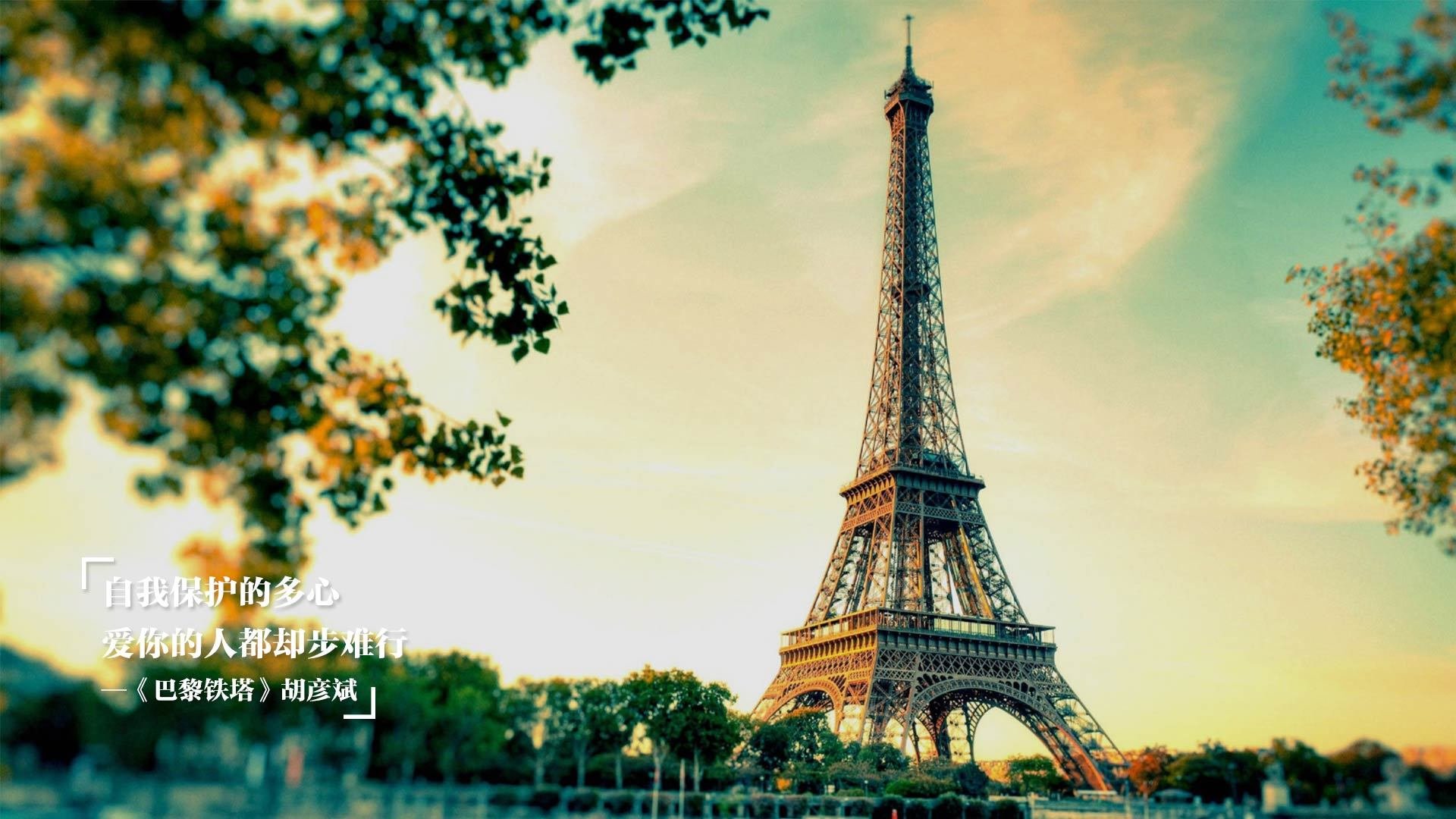 足球纪录片获奖展示中国球员奋斗历程，中国足球 纪录片