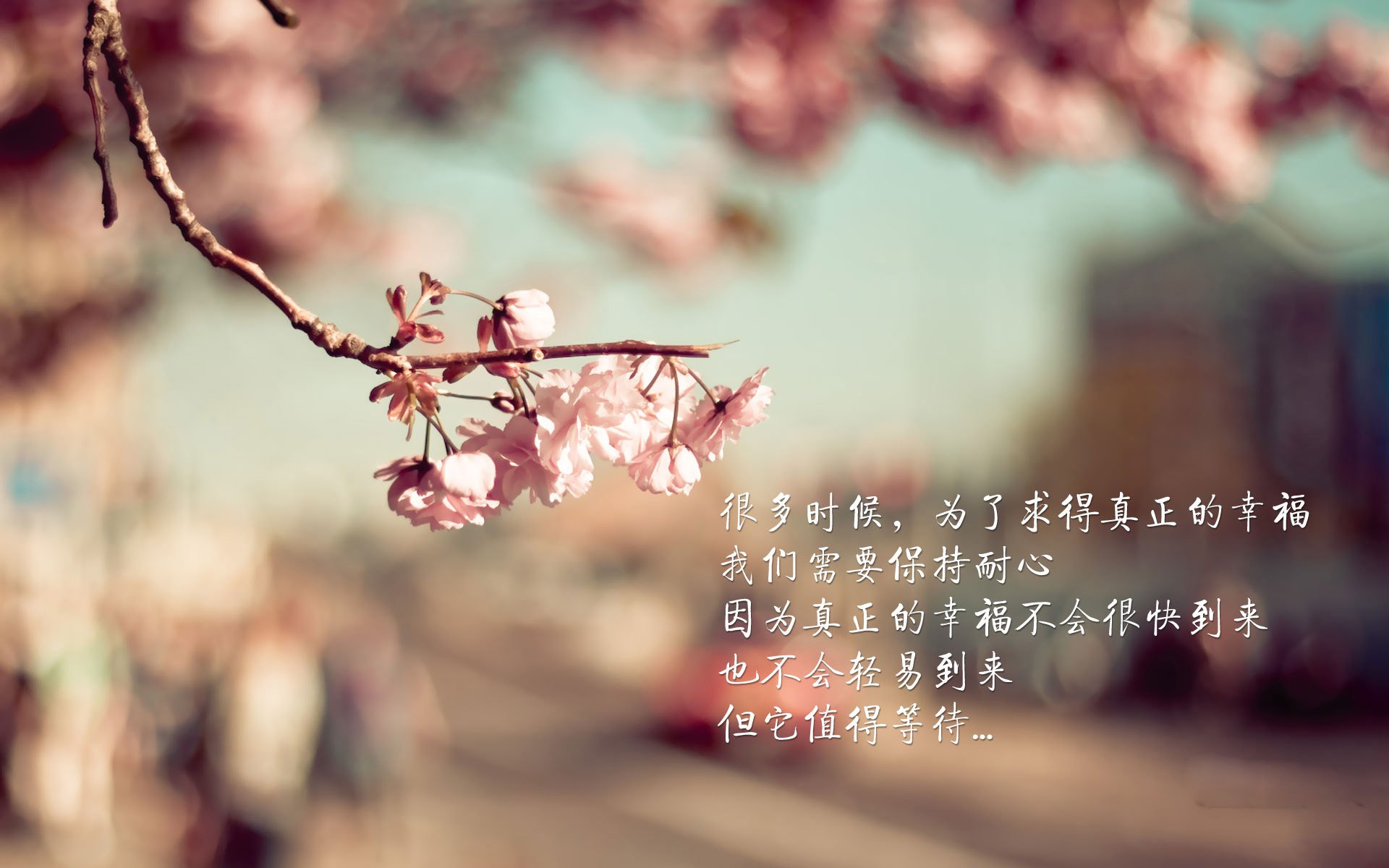 青少年“篮球+文艺”融合系列展在北京引领新潮流,青少年篮球职业联赛