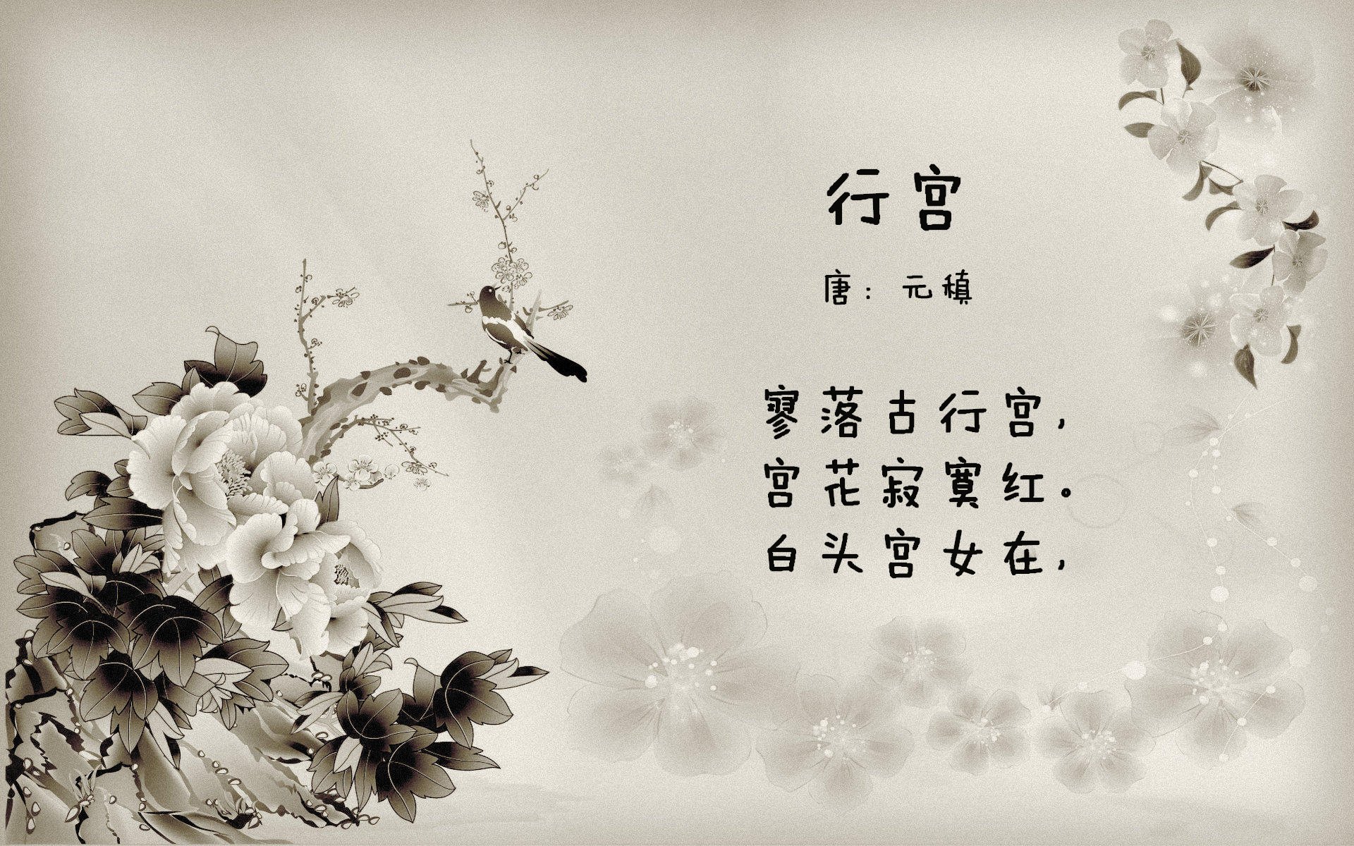 切尔西女足进攻火力强劲，切尔西女足欧冠