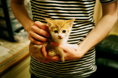 九游体育官方网站-南特队在最新一场比赛中获胜，稳定在法国联赛中的表现，法甲南特vs图卢兹