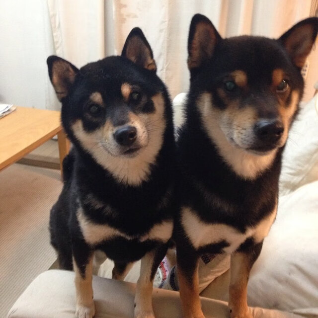 九游官网APP-巴黎勇夺里昂，跃至积分榜榜首之上，巴黎vs里昂集锦