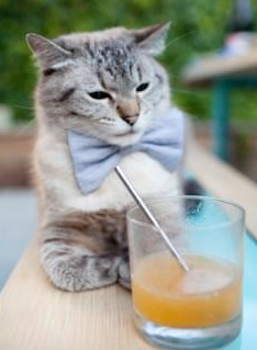 九游APP-斯洛特在比赛中大胆使用替补球员，保持球队活力，斯洛特耶