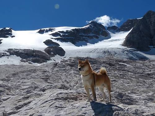 九游官方网站-NBA球队替补席贡献度评估，nba替补席庆祝集锦