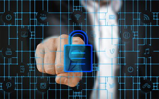 九游体育下载-赛事风险管理体系，体育赛事风险管理的主要内容