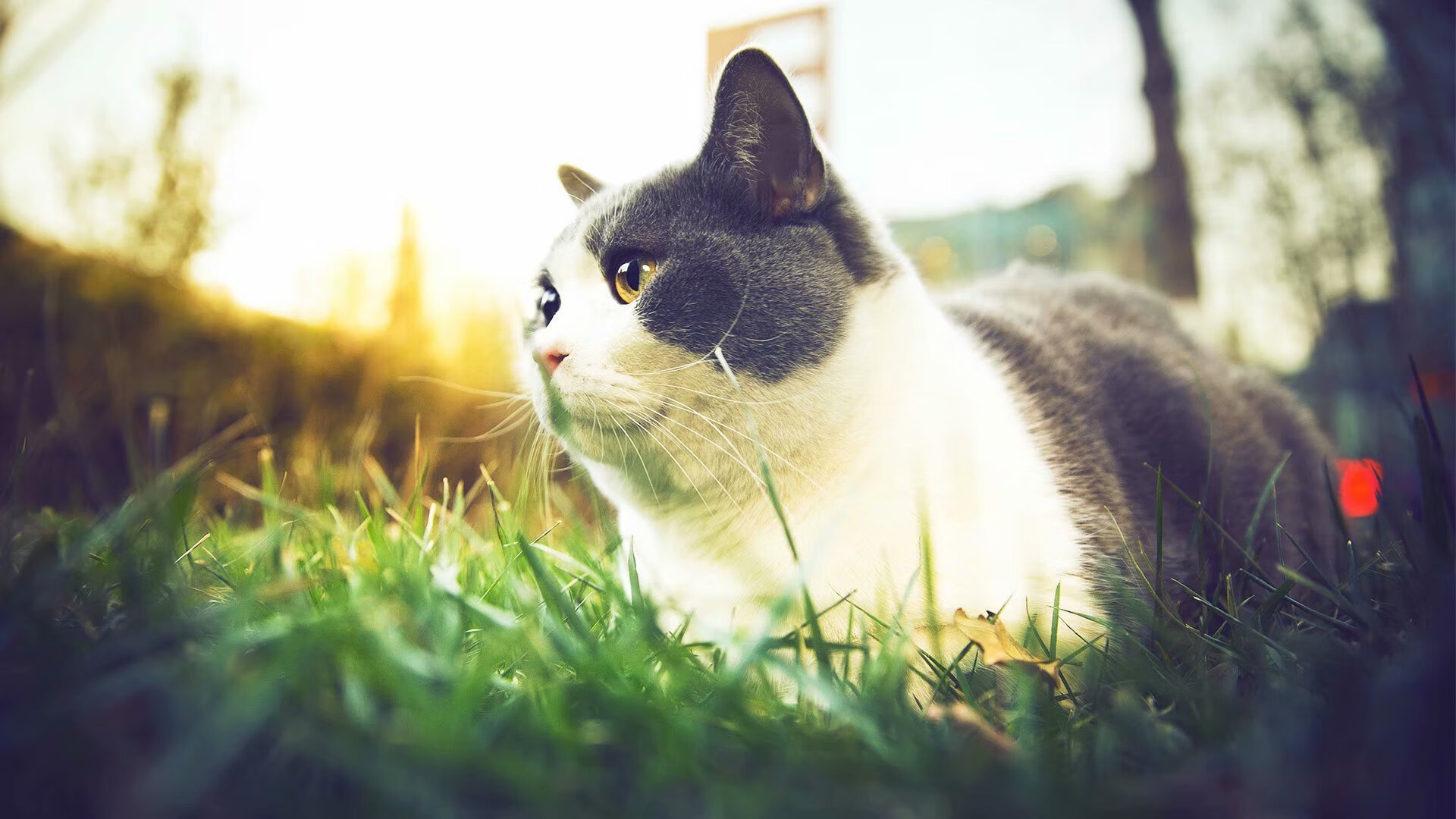 全国轮滑马拉松挑战赛在青岛举行，轮滑马拉松全程录像