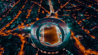 jiuyou游戏-埃及队未来规划：全方位打造高水平乒乓队伍，埃及乒乓球男团名单